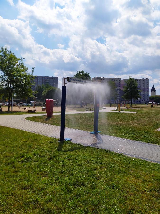 Apartament Z Widokiem Na śnieżkę *